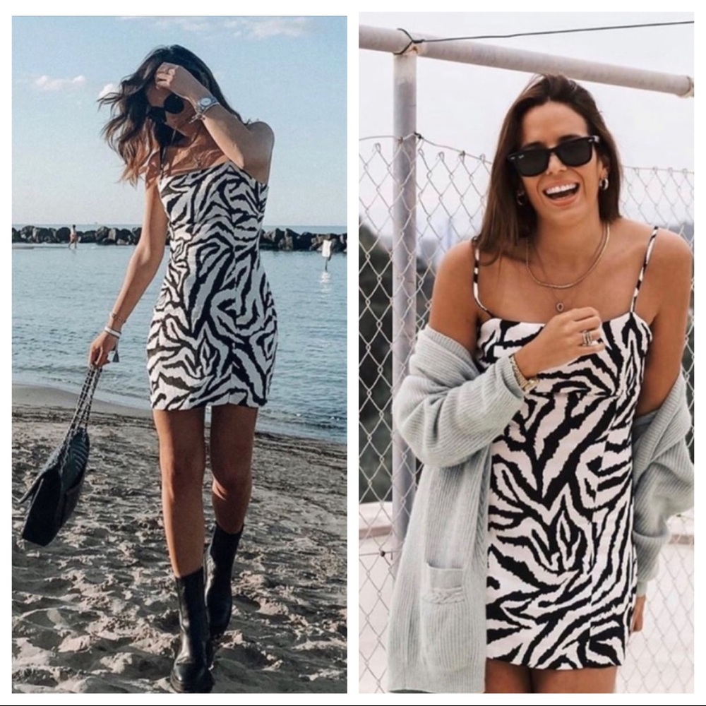 Zara Black and White Zebra Print Mini Dress